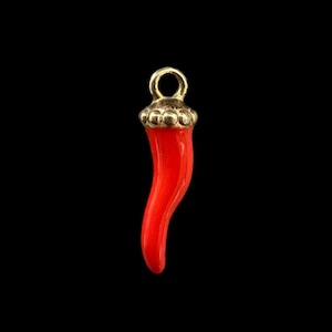 CHILI PORTAFORTUNA GLÜCK 925-er Silberanhänger & Emaille Corno - Cornicello rot