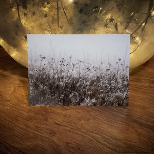 Carte postale : Matin d’hiver I Hiver I Amour de la nature I Photographie I Cottagecore