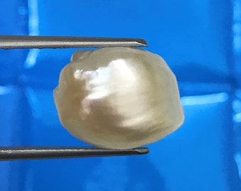 PERLA REAL natural / Certificada 9,29 quilates, piel blanca brillante y lustrosa, Perla natural (real) de calidad fina AAA+++ / Perla real natural genuina.
