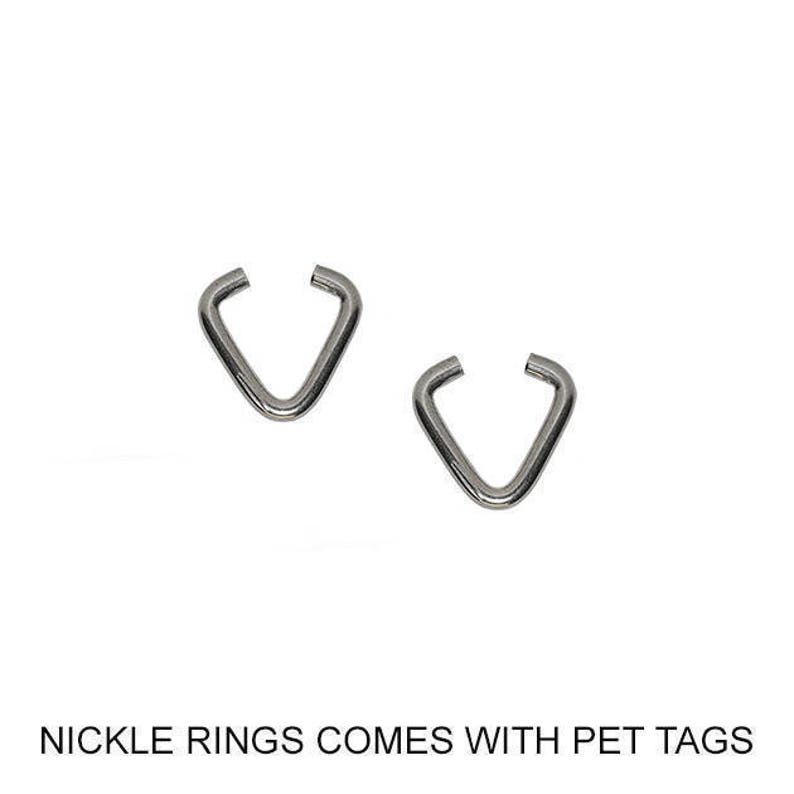 DT5771-GC899X Dog Lover/'s Gift Got Lost Looking For Bitches Pet ID Tag with Nickel Ring Dog Pet ID Tag