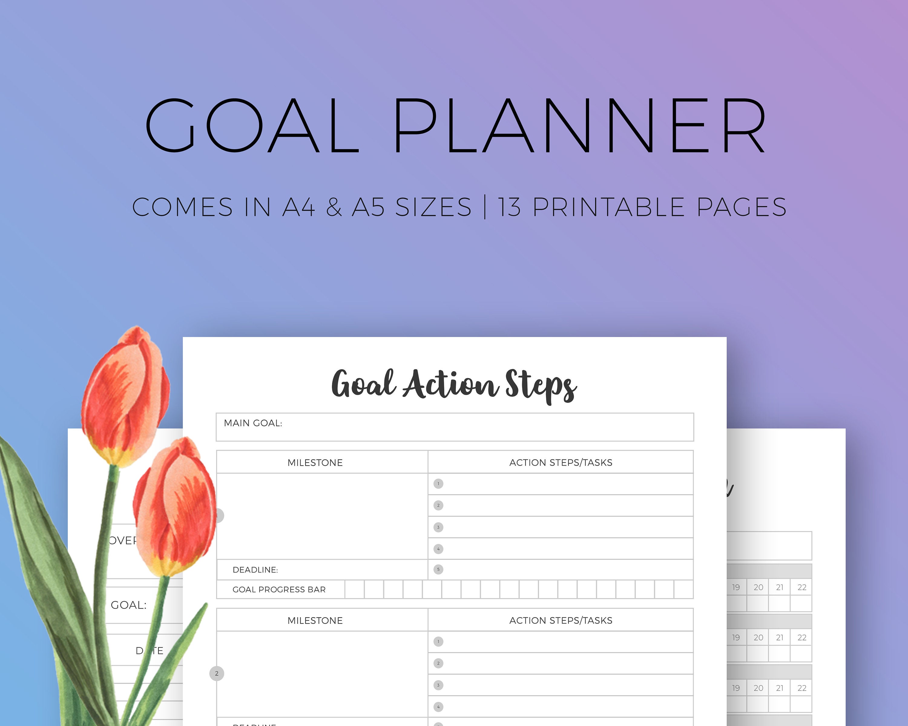 Goal plan