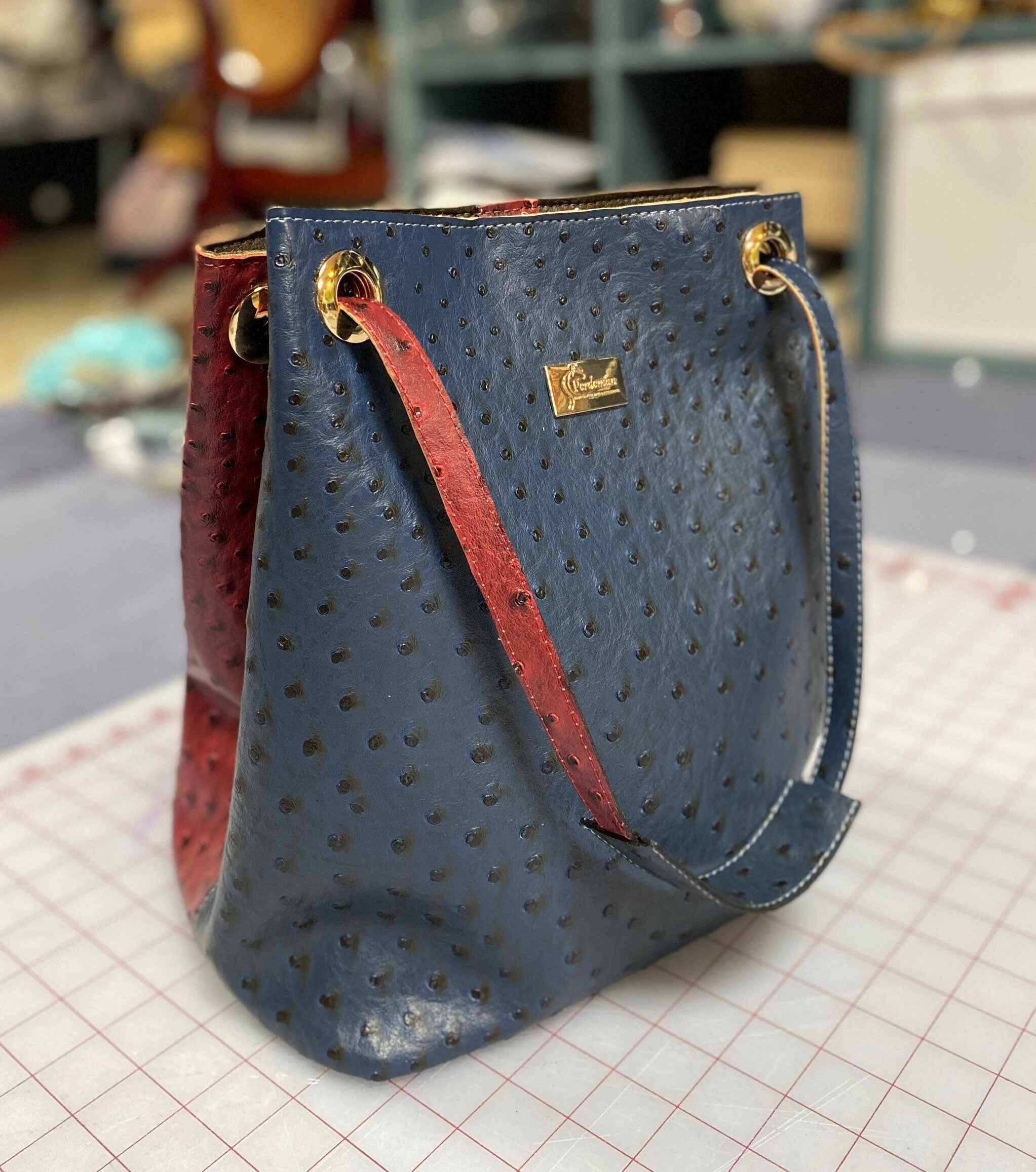 Ostrich Skin Bag 