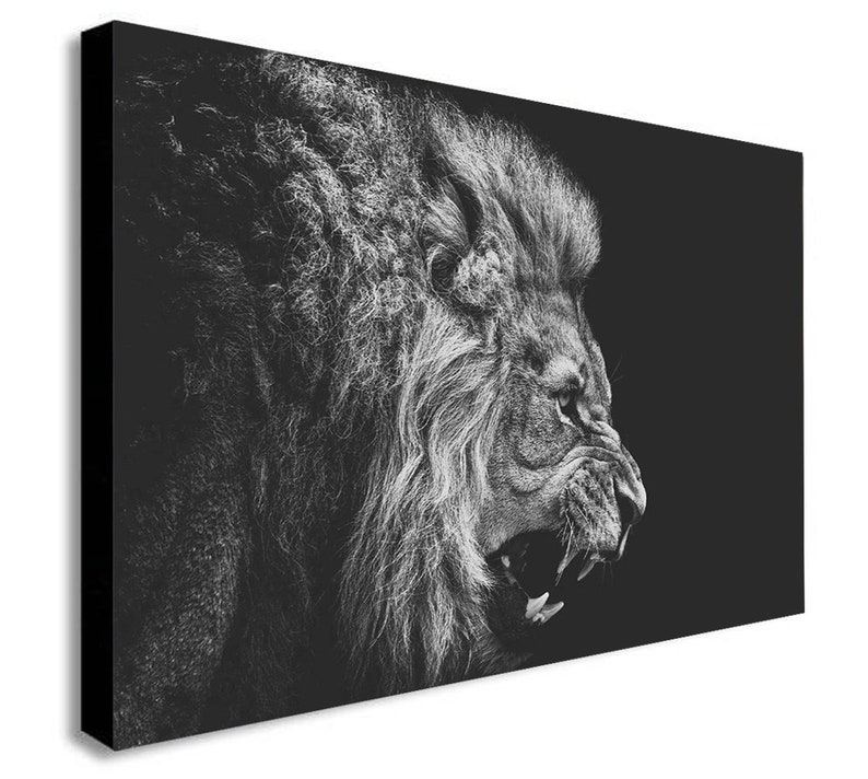 Lion Roar Black And White Canvas Wall Art Framed Print Various Sizes