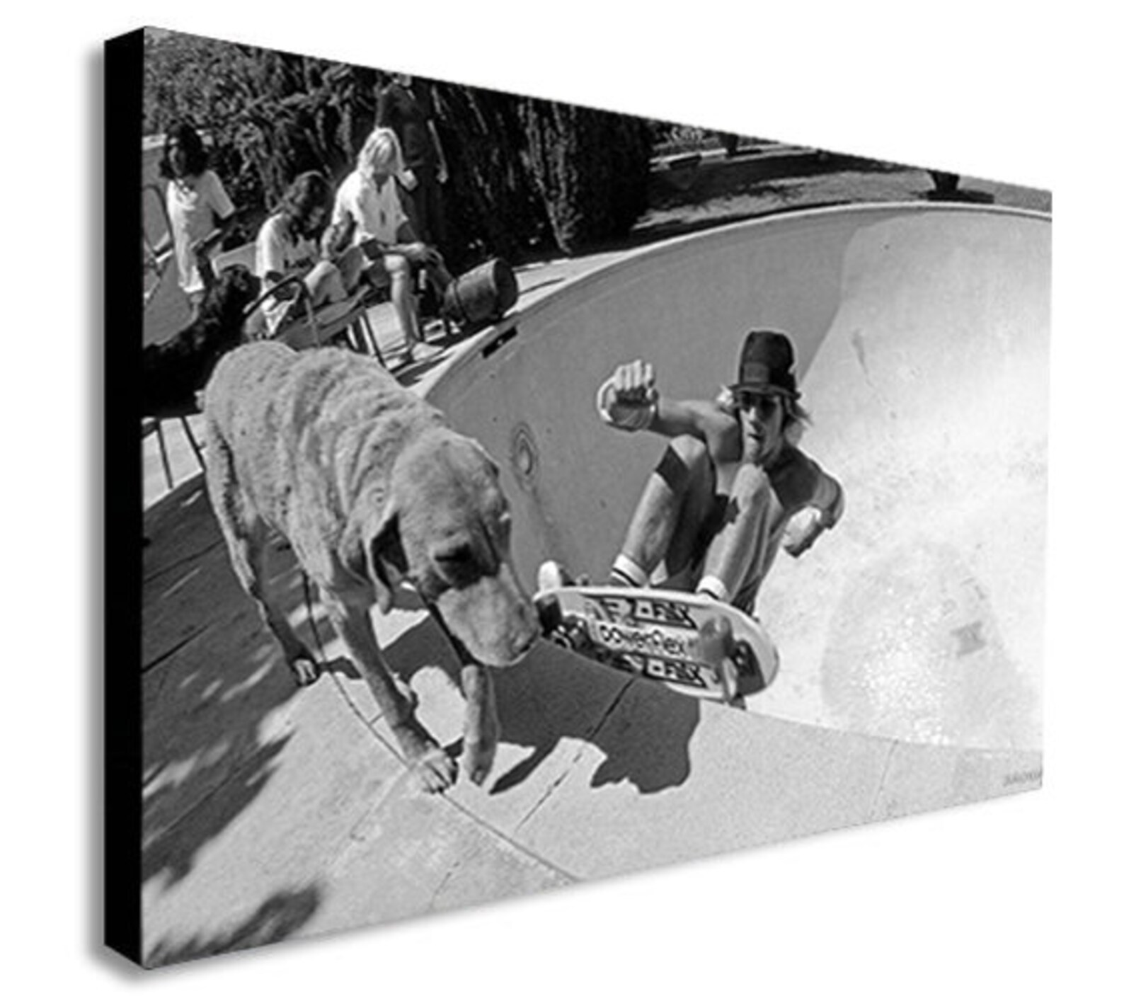 Dogtown and Z Boys Skateboarding Canvas Wall Art Framed Etsy
