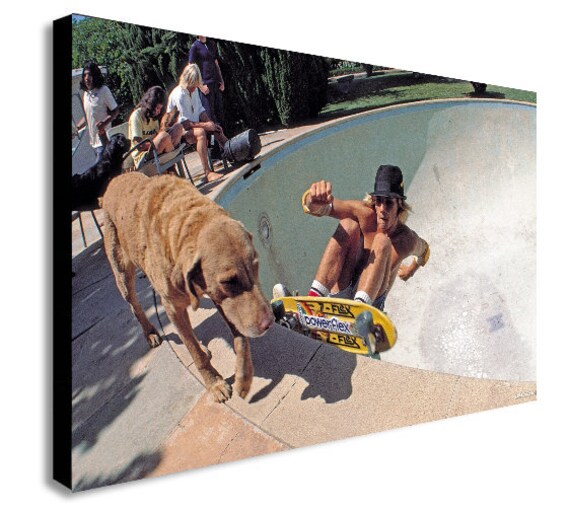 Dogtown And Z Boys Skateboarding In Colour Canvas Wall Art Etsy