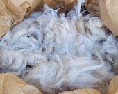Raw alpaca fibre 500g: Agatha's leg and neck fibre for spinning, felting, birds nests - white UK alpaca - locally sourced fleece