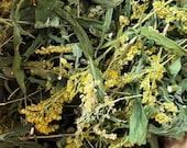 Birkhill's Own Goldenrod - Home Grown Natural Dye - Plant Dye - Dry Flower Dye -Botanical Dyes - Yarn Dyeing - Sustainable Eco craft