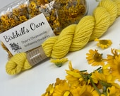Birkhill's Own Dyers Chamomile - Home Grown Natural Dye - Plant Dye - Dry Flower Dye -Botanical Dyes - Yarn Dyeing - Sustainable Eco craft