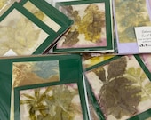 Eco-Print Card Set / Cards with Envelopes / Leaf Print Stationary / Hand made greeting cards / Botanical Printed / Eco Craft / OOAK Natural