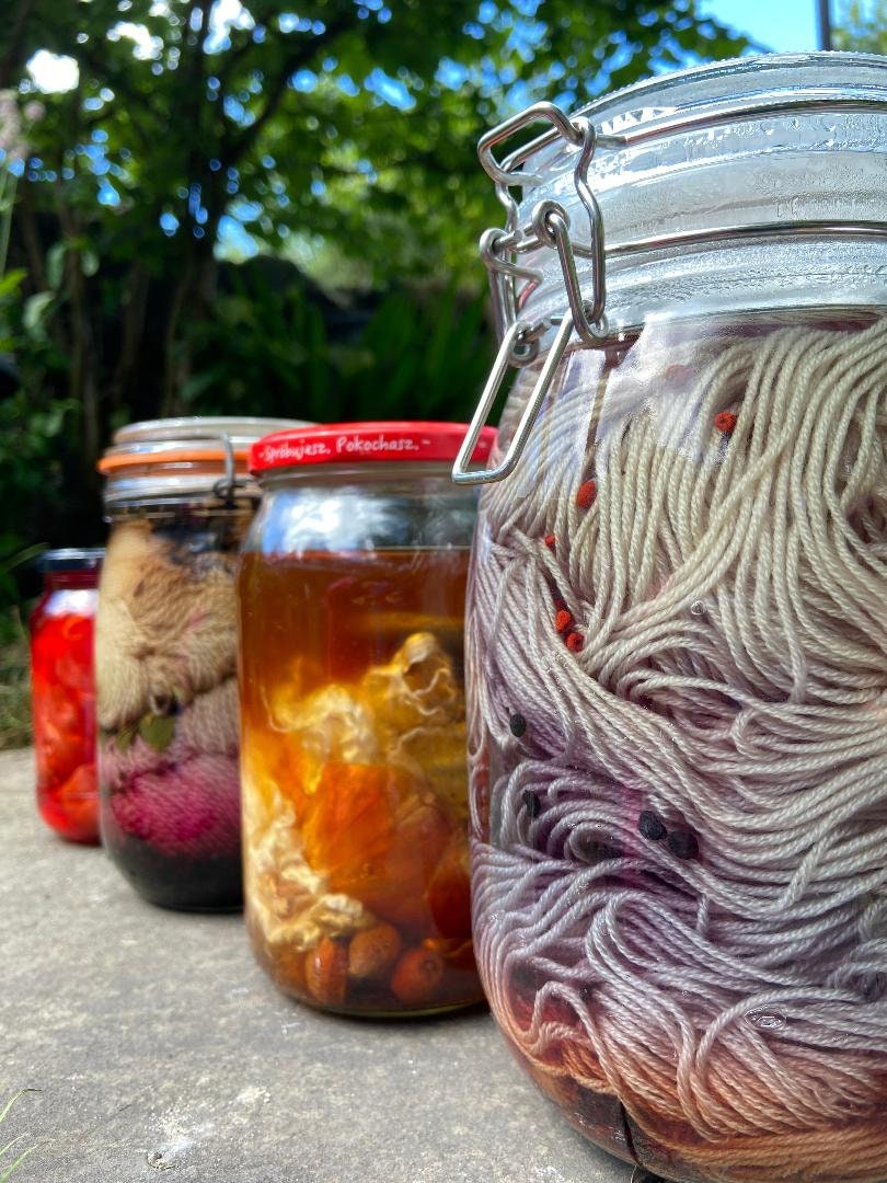 Natural Dye Plant Dye Dry Flower Dye botanical Dyes Etsy