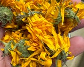 Birkhill's Own Calendula - Home Grown Natural Dye - Plant Dye - Dry Flower Dye -Botanical Dyes - Yarn Dyeing - Sustainable Eco craft