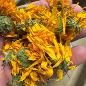 Birkhill's Own Calendula - Home Grown Natural Dye - Plant Dye - Dry Flower Dye -Botanical Dyes - Yarn Dyeing - Sustainable Eco craft