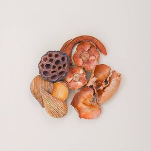 May include: A collection of dried natural elements in shades of brown and orange, including a lotus pod, a flower, and pieces of bark.