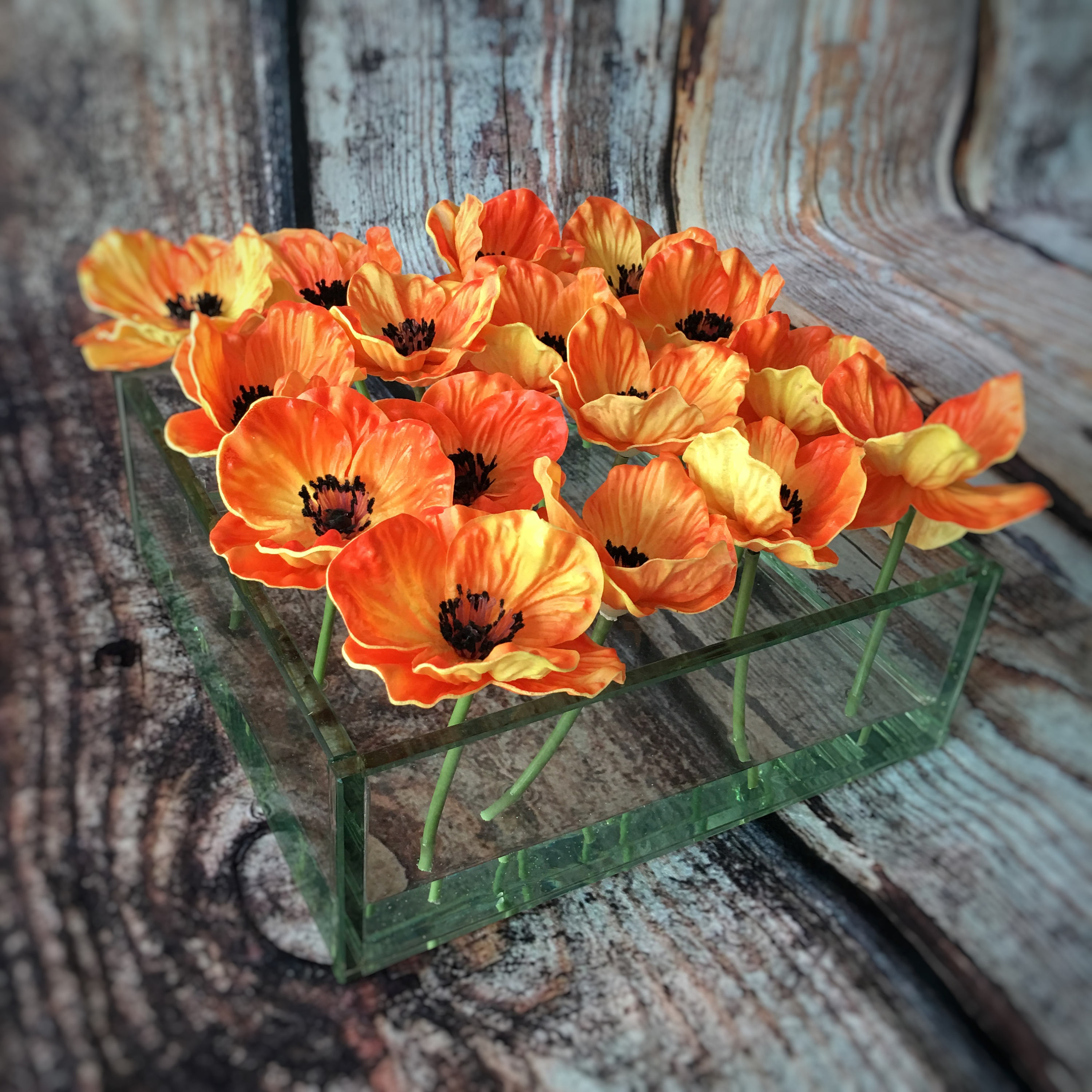 Real Touch Individual Orange Poppy Blossoms in Clear Vase - Etsy