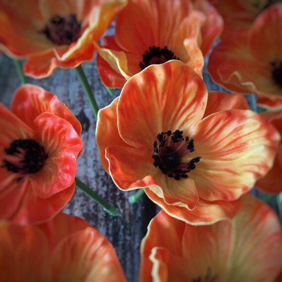 Real Touch Individual Orange Poppy Blossoms in Clear Vase - Etsy
