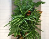 VERTICAL INDOOR GARDEN with live indoor plants