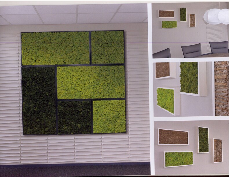 Moss Wall Hangings Preserved Tiles 12x 24 TILES Etsy