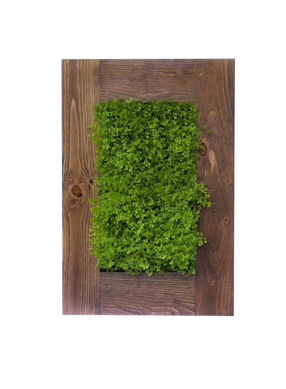 Fern Mate Vertical Garden Etsy