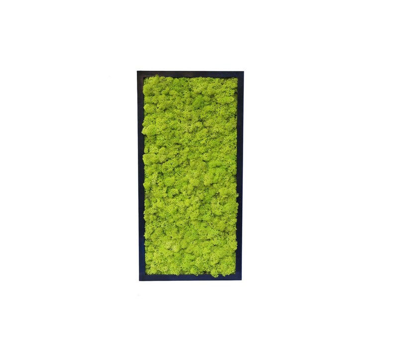 Moss Wall Hangings Preserved Tiles 24x 24 TILES Etsy