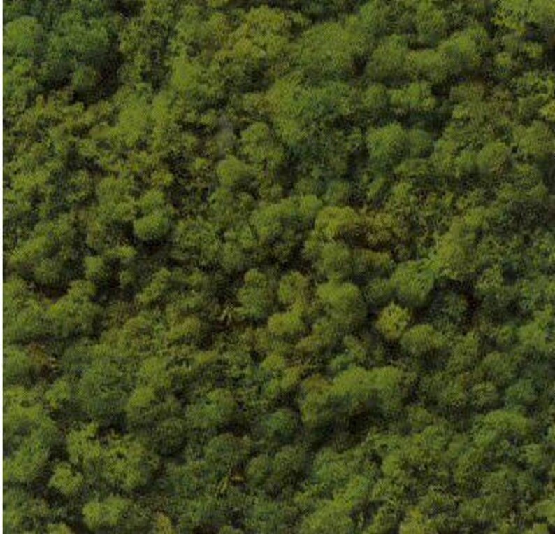 Moss Wall Hangings Preserved Tiles 12x 24 TILES Etsy