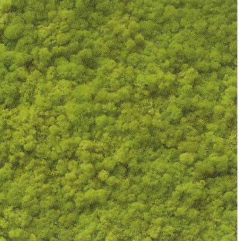 Moss Wall Hangings Preserved Tiles 12x 24 TILES Etsy