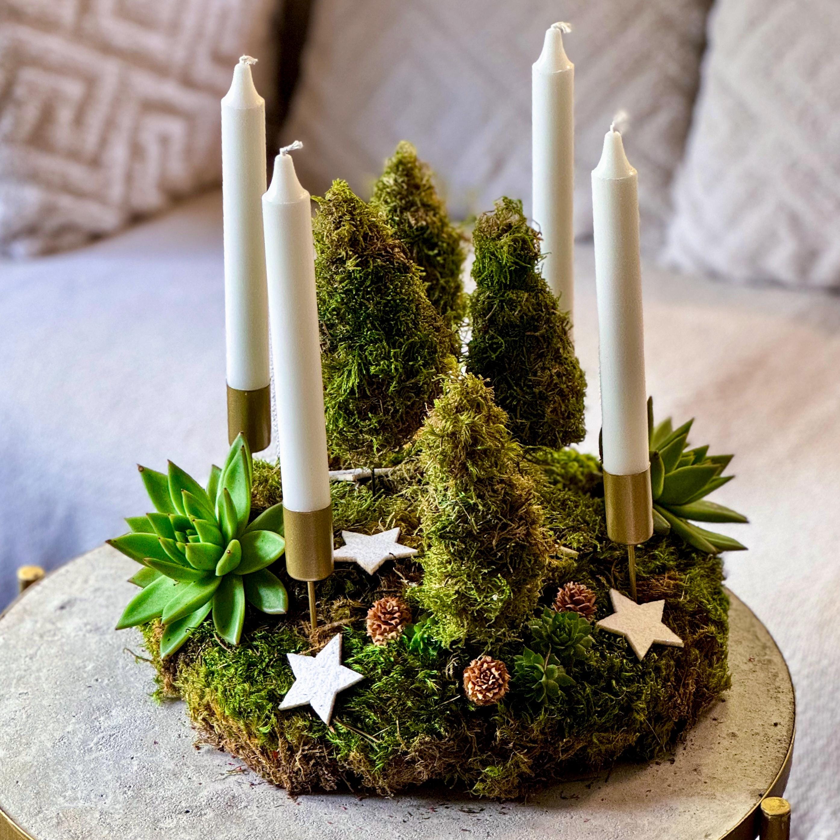 Adventskranz modern aus Moos mit Sukkulente | Tischdeko Weihnachten mit Moos Bäumchen | ausgefallene Adventskränze | grüne Weihnachtsdeko