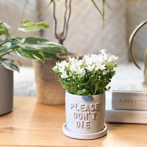 Könnte beinhalten: Ein kleiner, hellgrauer Keramikblumentopf mit den Worten "PLEASE DON'T DIE" auf der Vorderseite, gefüllt mit weißen Blumen und grünem Laub. Der Topf steht auf einer passenden Untertasse. Weitere Pflanzen und Bücher sind im Hintergrund.