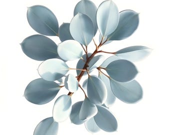 Eucalyptus Wall Art – Set of 2 Minimalist Botanical Prints | Greenery Digital Download | Printable Plant Decor | Instant Download