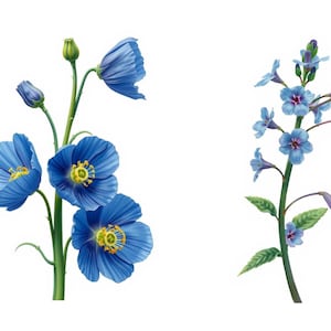 Blue Flowers Printable Wall Art Set | Botanical Digital Download | 2 Floral Prints | Modern Minimalist Nature Decor