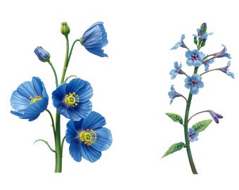 Blue Flowers Printable Wall Art Set | Botanical Digital Download | 2 Floral Prints | Modern Minimalist Nature Decor