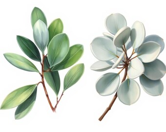 Láminas botánicas minimalistas de eucalipto: juego de 2 descargas digitales / Arte mural con vegetación / Descarga instantánea / Decoración vegetal moderna