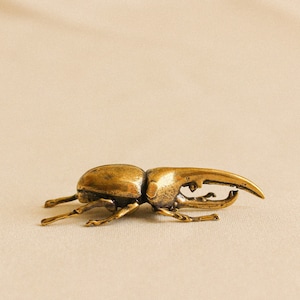 mini antiqued brass Hercules beetle statue metal art bug figurine coffee table decor boho cute gift ideas office fairy garden miniatures