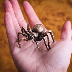 Emotional Support Tarantula Spider Arachnid Plush Stuffed Animal