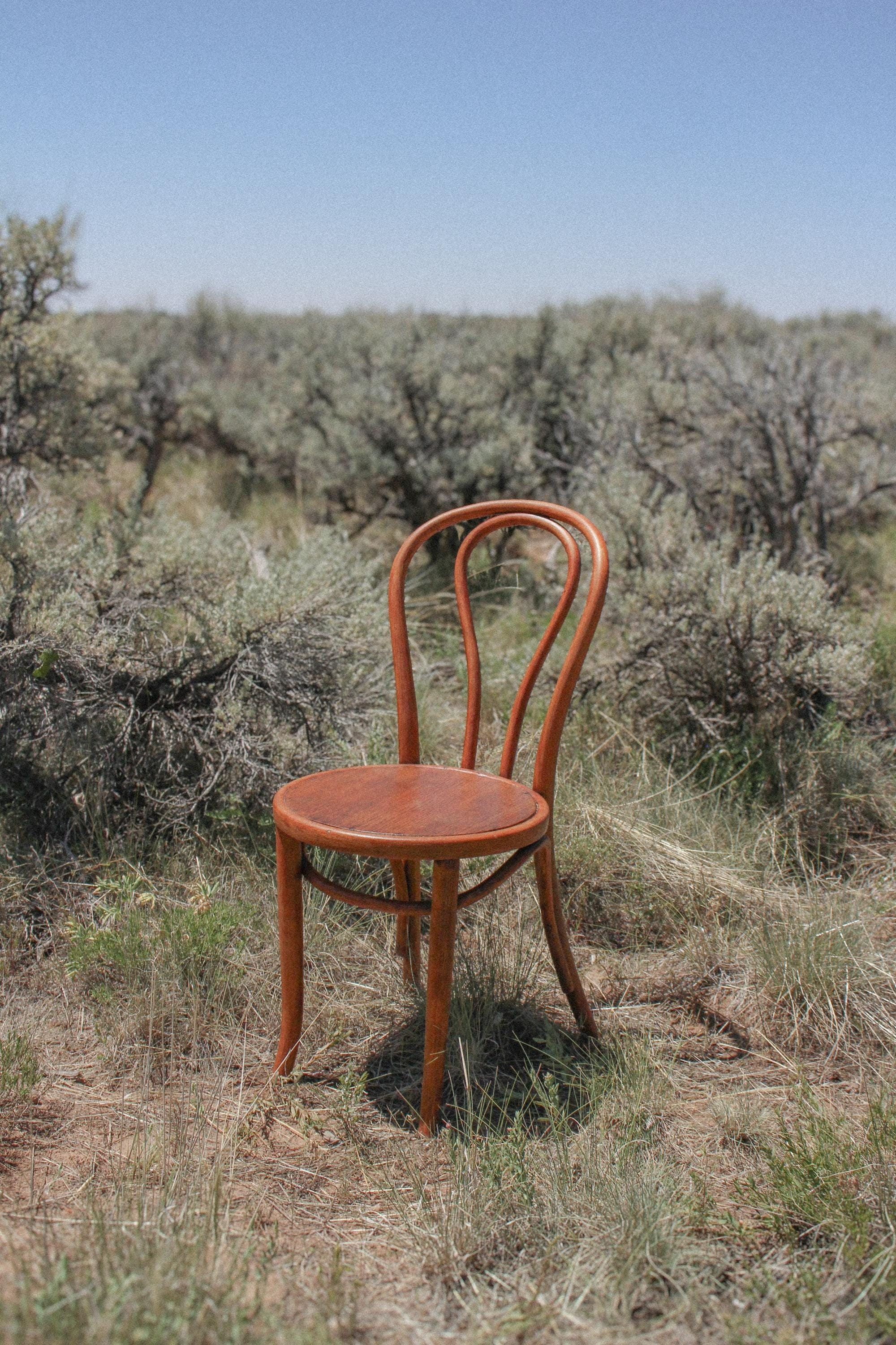 Jacob & Josef Kohn アールヌーボー風椅子 Jacob & Josef Kohn アールヌーボー風椅子 Jacob & Josef Kohn