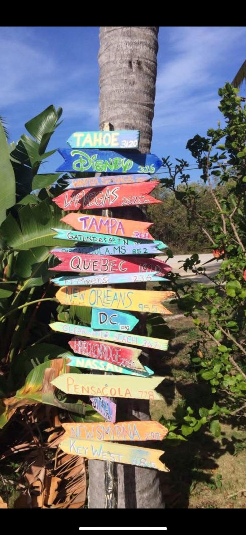 May include: A collection of colorful wooden arrow signs pointing in various directions, attached to a tree trunk. Each sign displays a destination name and a distance in miles, including Tahoe, Disney, Las Vegas, and Tampa.