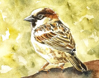 Sparrow