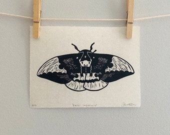 Original Hand-Pressed Limited Edition Imperial Moth Linocut Print - Black and White Moth Art