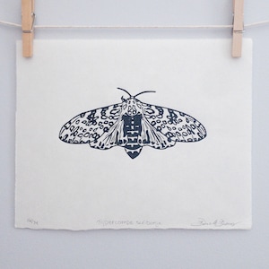 Original Handmade Limited Edition Giant Leopard Moth Linocut Print - Black and White Moth Art