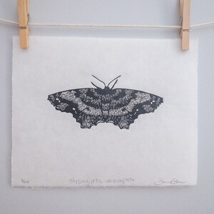 Original Handmade Limited Edition One-Spotted Variant Moth Linocut Print - Black and White Moth Art