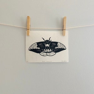 Original Hand-Pressed Limited Edition Imperial Moth Linocut Print - Black and White Moth Art