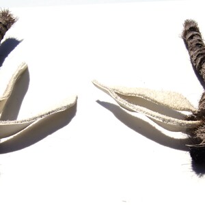 Może przedstawiać: Dwa brązowe i białe przynęty muchowe z białymi skrzydłami i brązowymi korpusami.