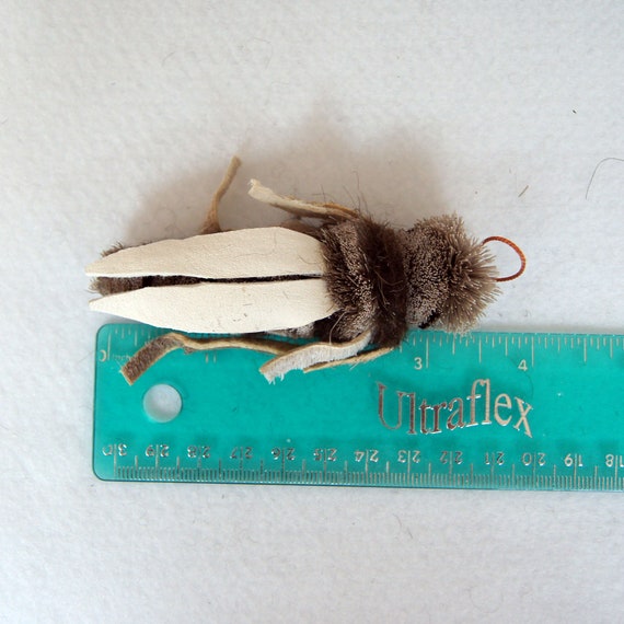 Grasshopper top cat toy