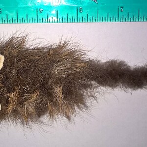 May include: A brown and white furry toy mouse with a long tail. The toy is designed to look like a real mouse.