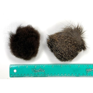 May include: Two bundles of animal fur, one brown and one brown and gray, are shown next to a ruler. The ruler is green and has the words "Ultraflex" and "Helix" printed on it.