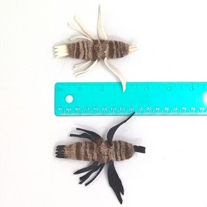May include: Two brown and white striped fly fishing lures with black and white feathers. The lures are about 2 inches long and are sitting on a white surface next to a blue ruler.