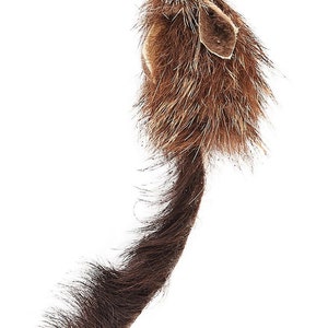 May include: A brown and black plush cat toy shaped like a mouse with a long tail. The toy is designed to be a catnip toy.