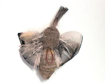 Op de afbeelding: Een grijs-witte vlinder met een harige body en gevederde vleugels. De vlinder is gemonteerd op een witte achtergrond.