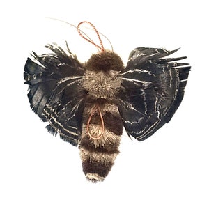 May include: A brown and black fuzzy moth with black and white feathered wings. The moth has a red string attached to its head.