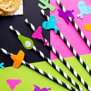 Fiesta Straws - Margarita Straws - Fiesta Drinkware - Cinco De Mayo Party - Final Fiesta Bachelorette Drink - First Fiesta - Taco Twosday
