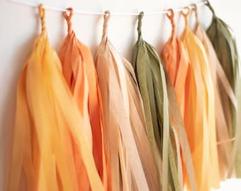 Boho Tassel Garland, Boho Banner, Boho First Birthday, Neutral Tassel Garland,  First Trip Around The Sun, Boho Baby Shower,  Boho Party